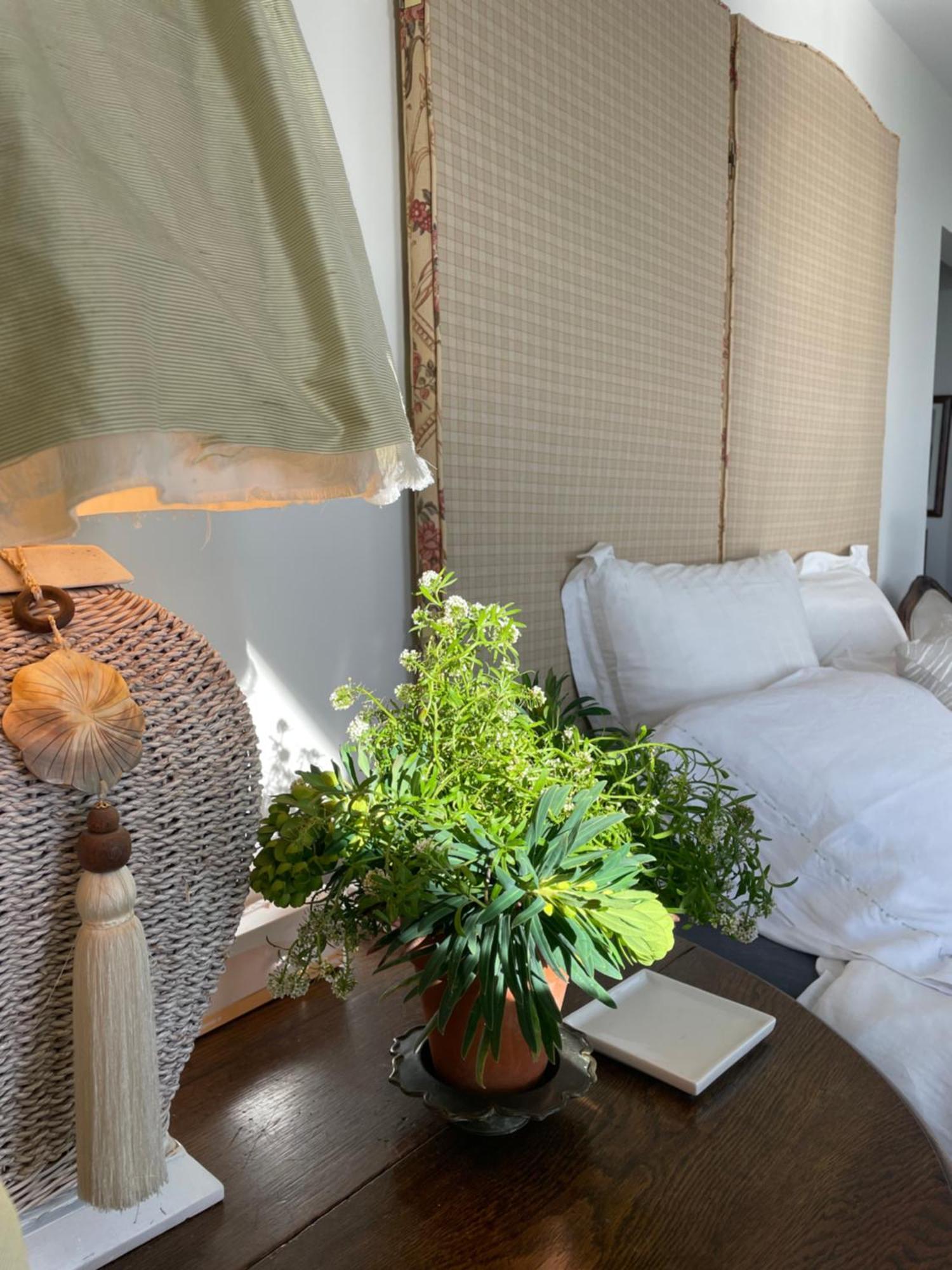 Bed and Breakfast 340 Deg Alps & Sea Christchurch Zewnętrze zdjęcie
